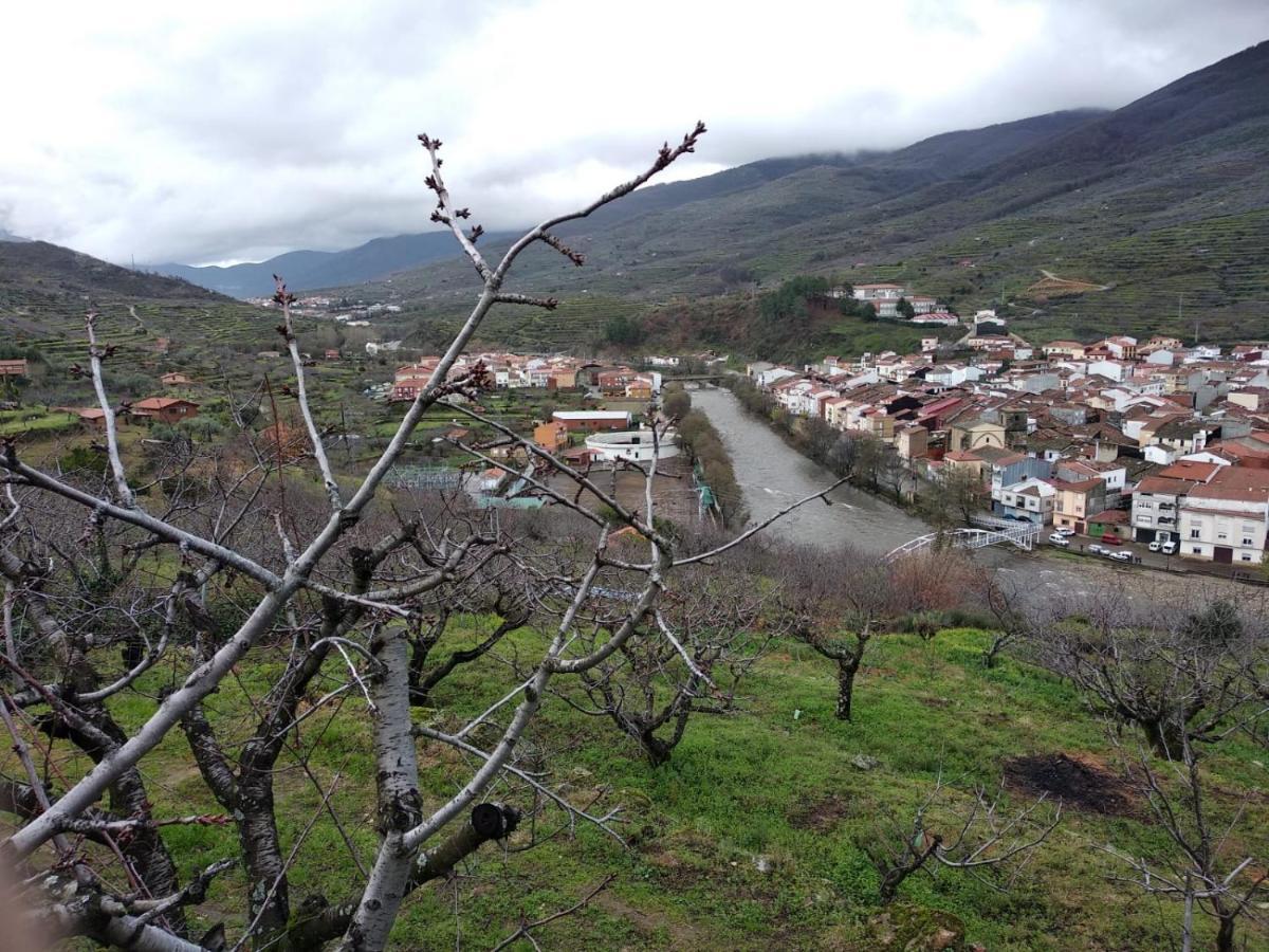 Carrizosa *