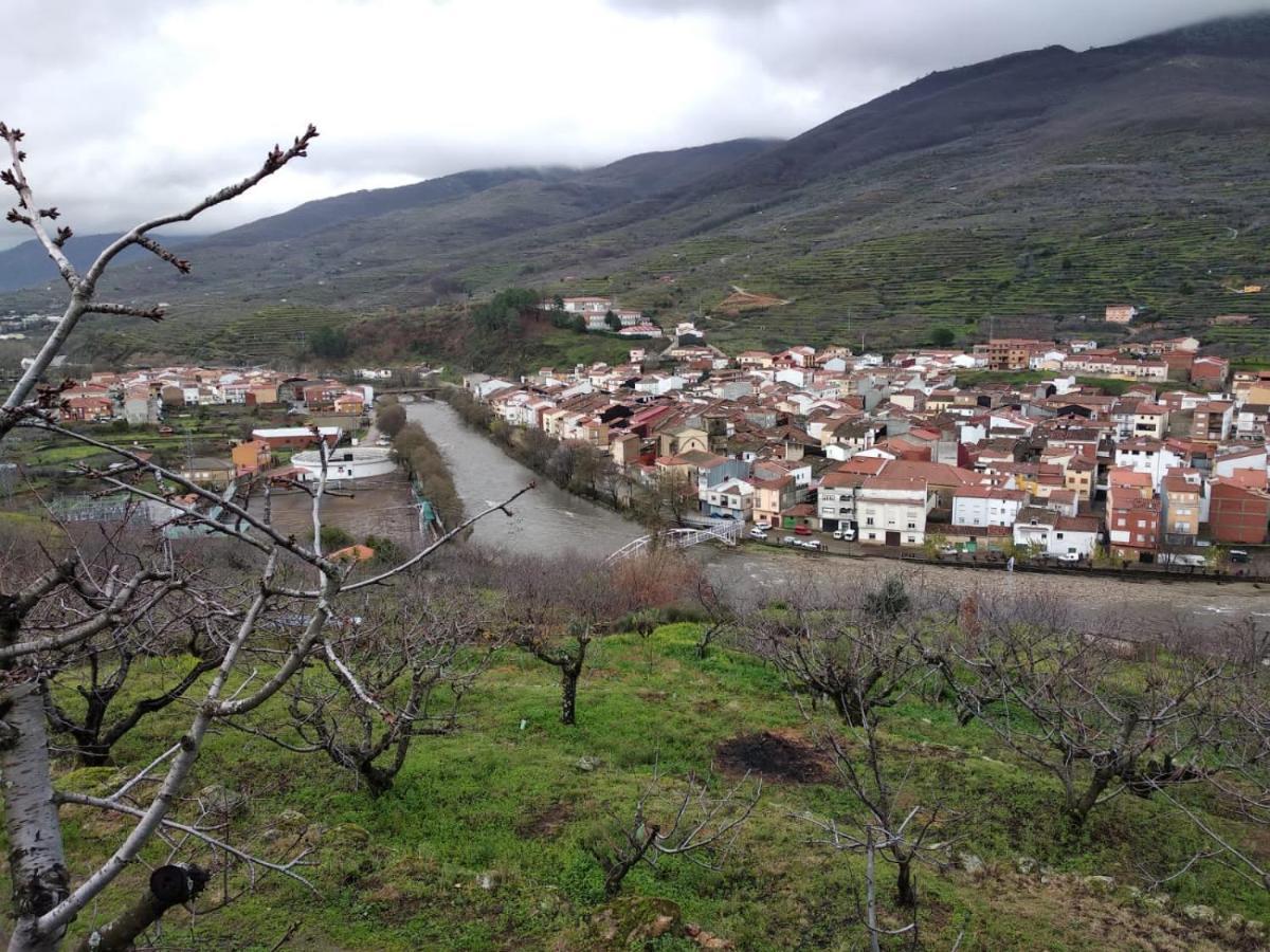 Carrizosa *